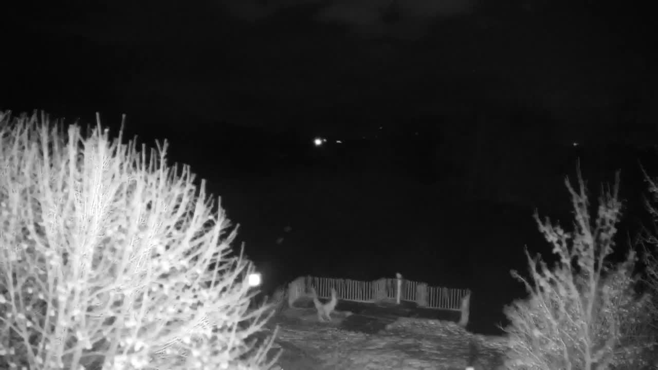 Webcam Ribnik Vrbje – Žalec