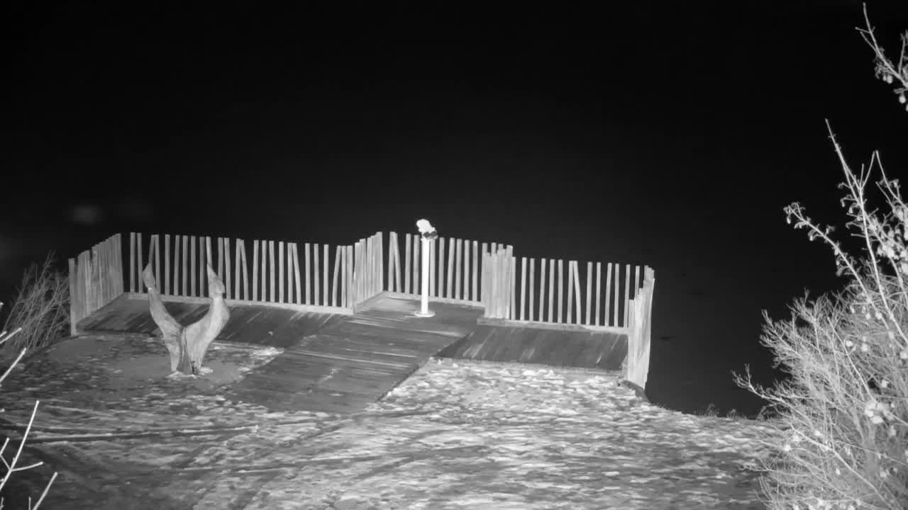 Webcam Ribnik Vrbje – Žalec