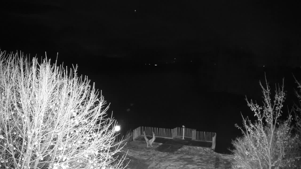 Webcam Ribnik Vrbje – Žalec