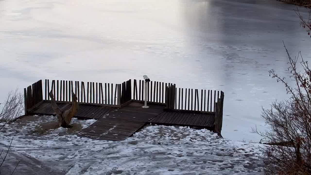 Webcam Ribnik Vrbje – Žalec