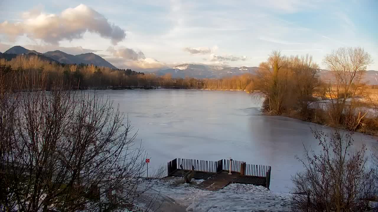 Web kamera Ribnik Vrbje – Žalec