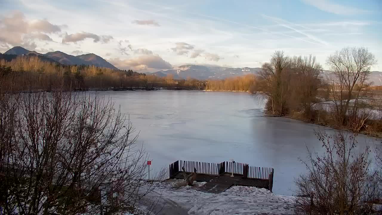 Webcam Ribnik Vrbje – Žalec