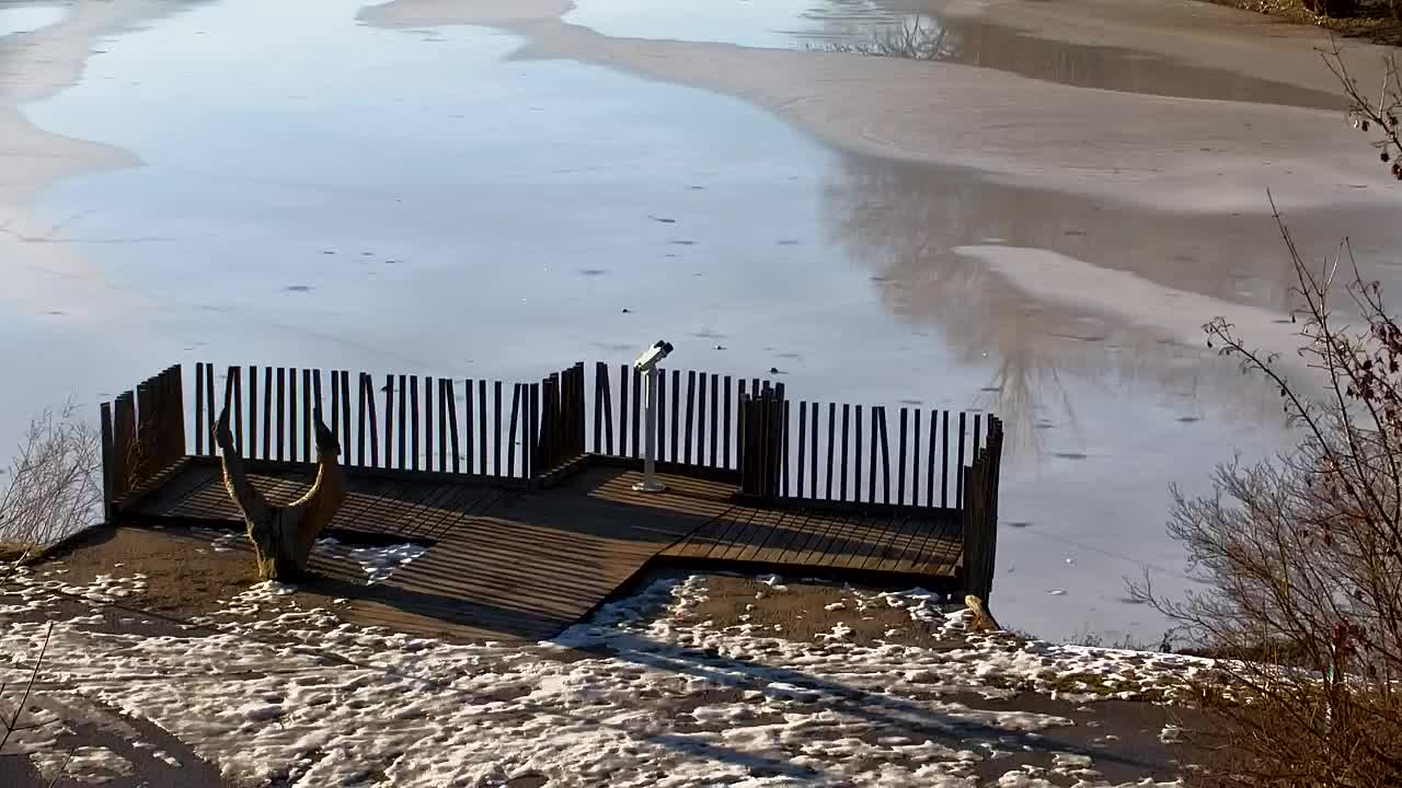 Webcam Ribnik Vrbje – Žalec