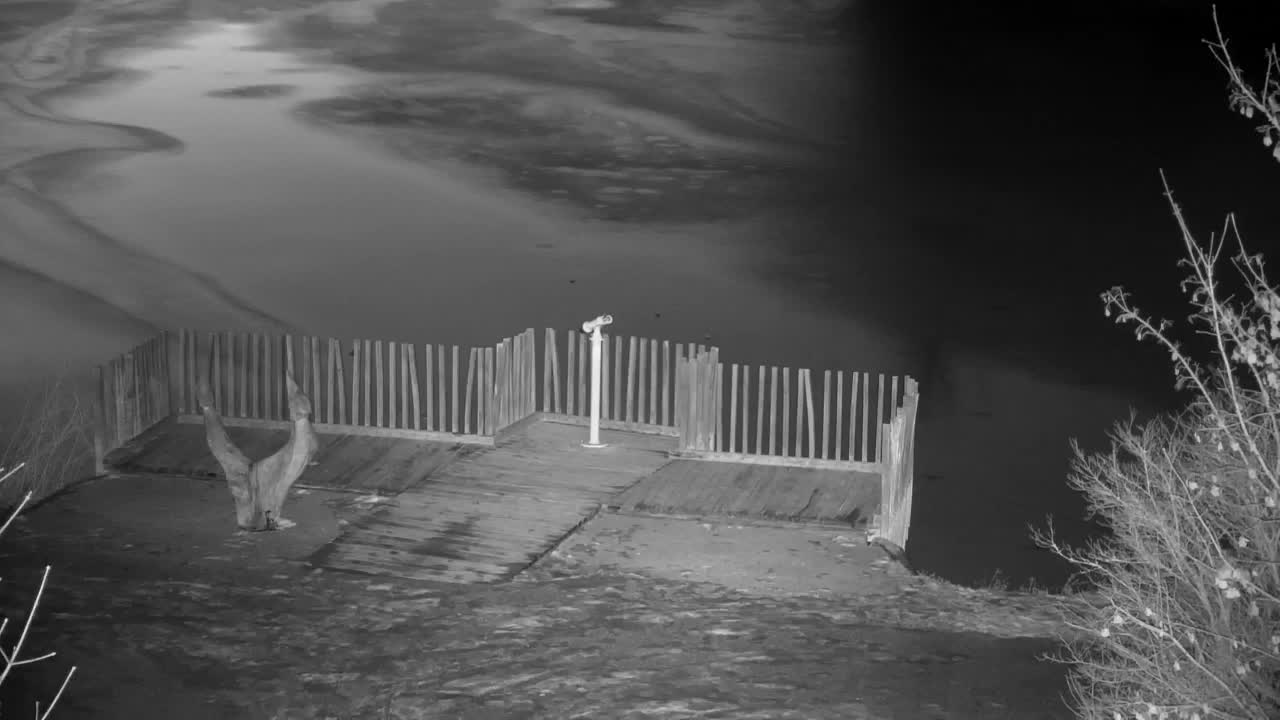 Webcam Ribnik Vrbje – Žalec