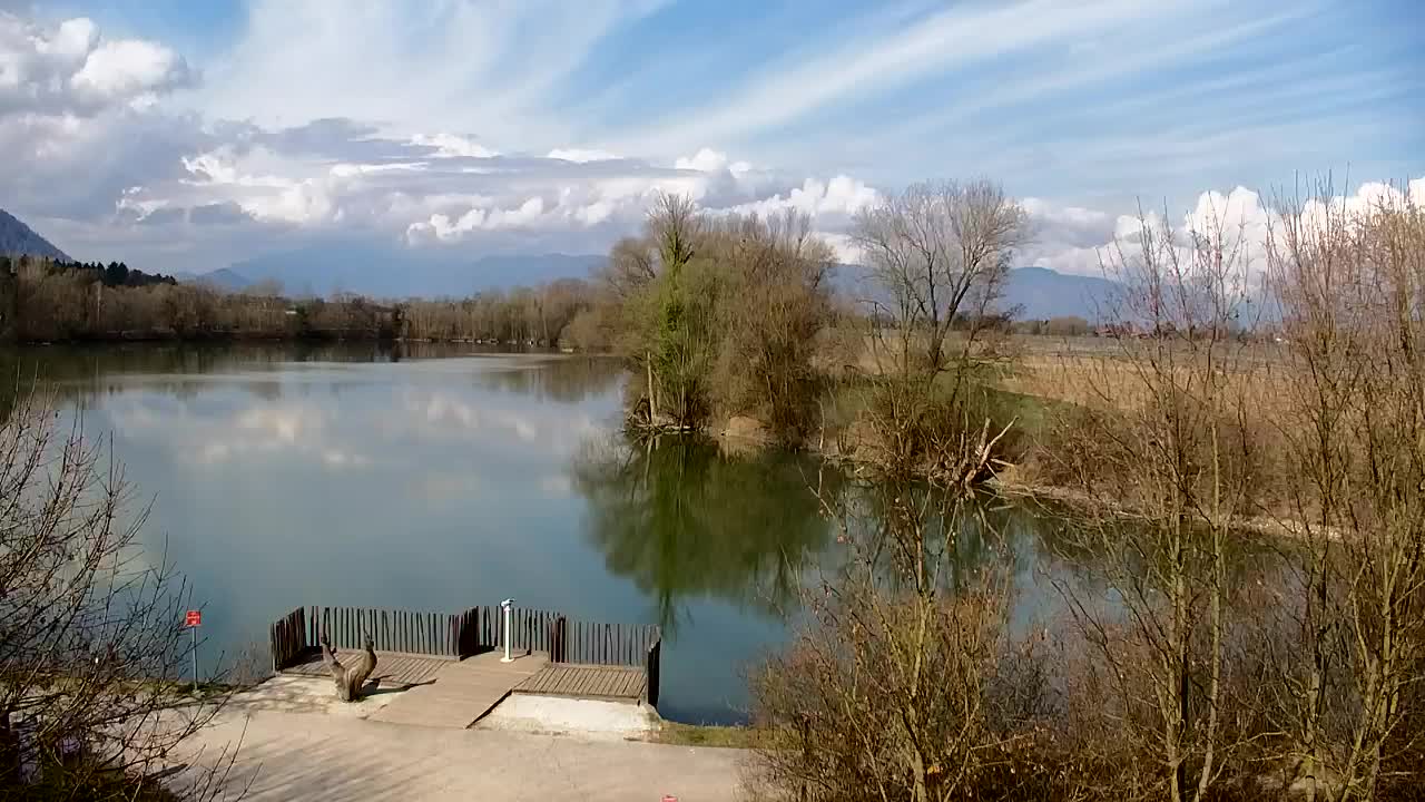 Spletna kamera Ribnik Vrbje – Žalec