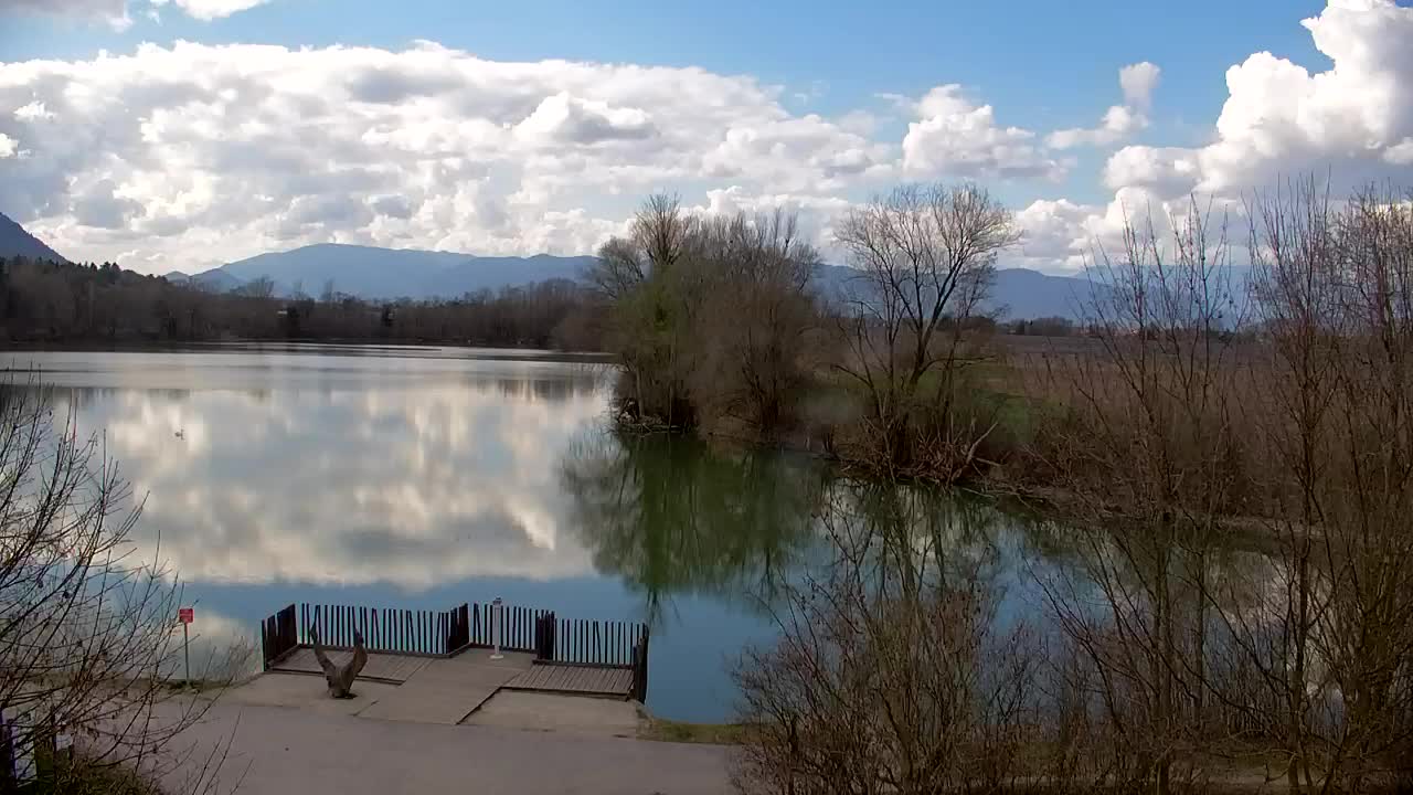 Web kamera Ribnik Vrbje – Žalec