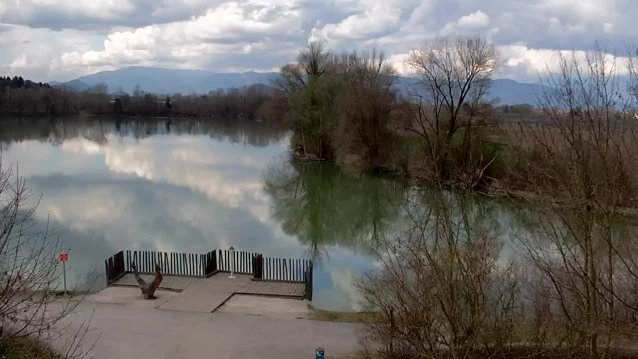 Webcam Ribnik Vrbje – Žalec