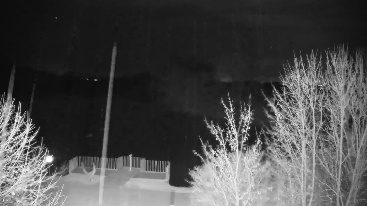 Webcam Ribnik Vrbje – Žalec