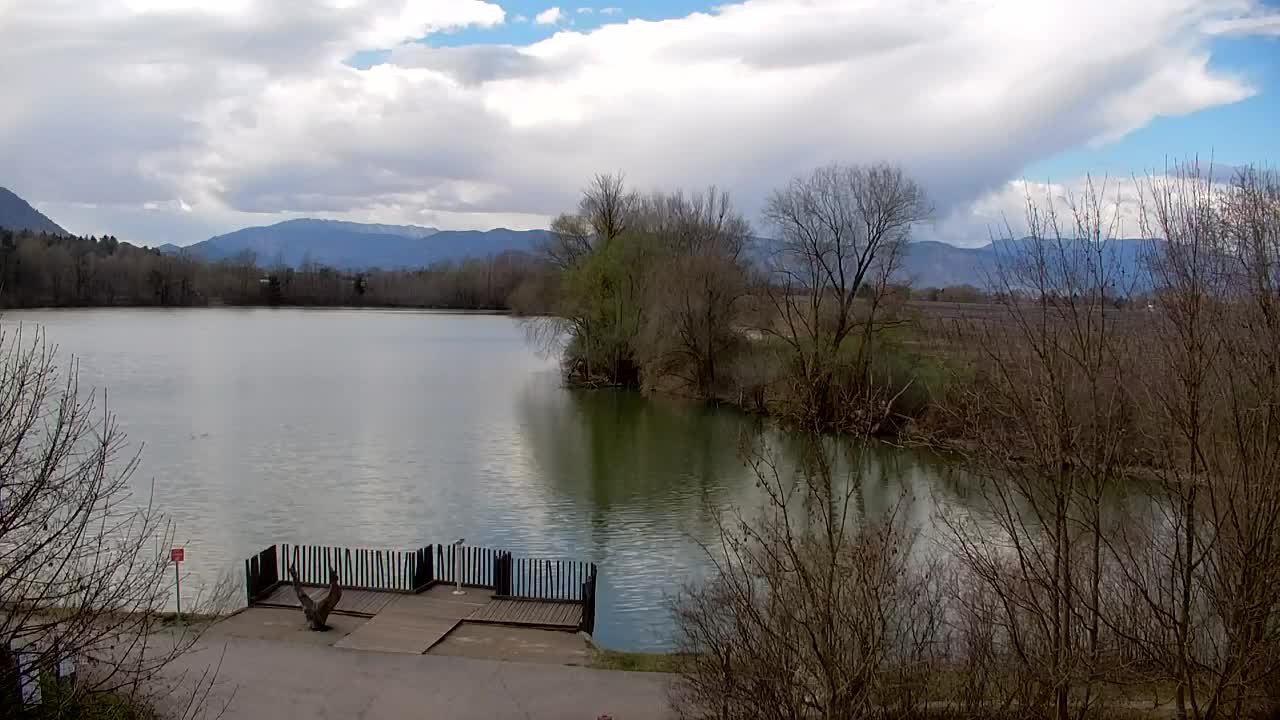 Webcam Ribnik Vrbje – Žalec