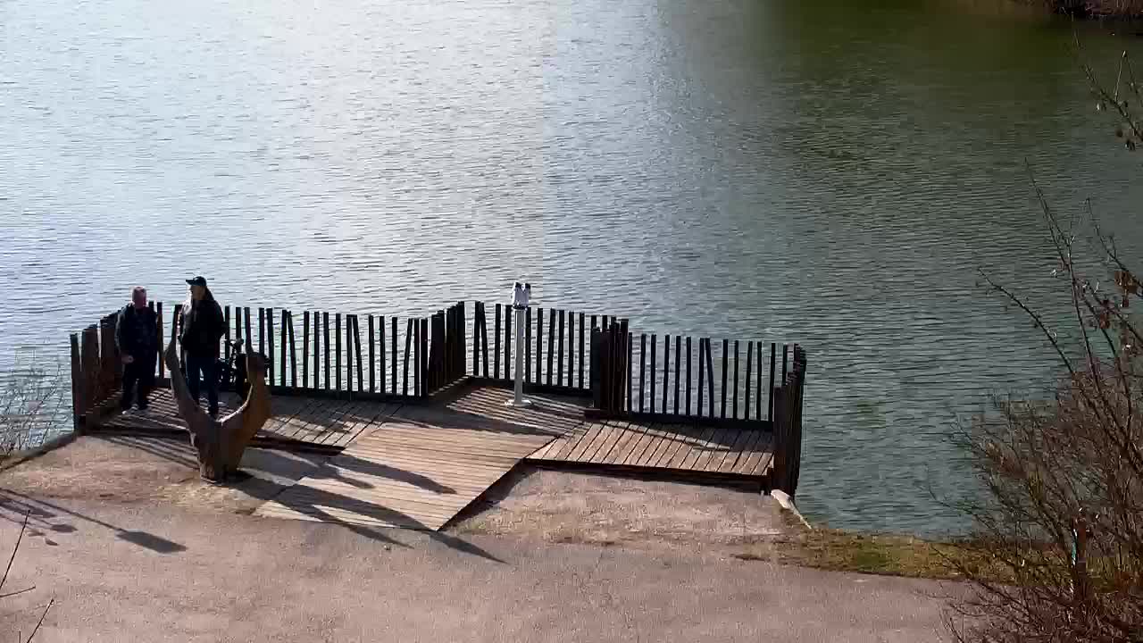 Web kamera Ribnik Vrbje – Žalec