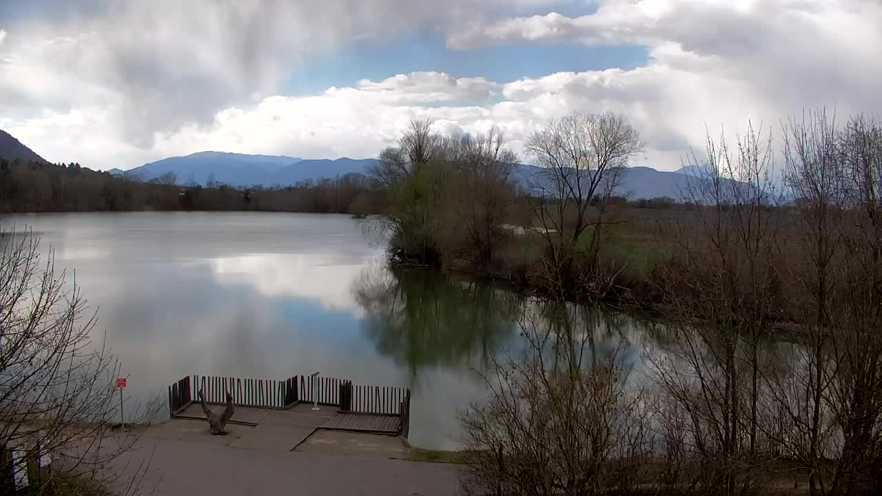 Webcam Ribnik Vrbje – Žalec