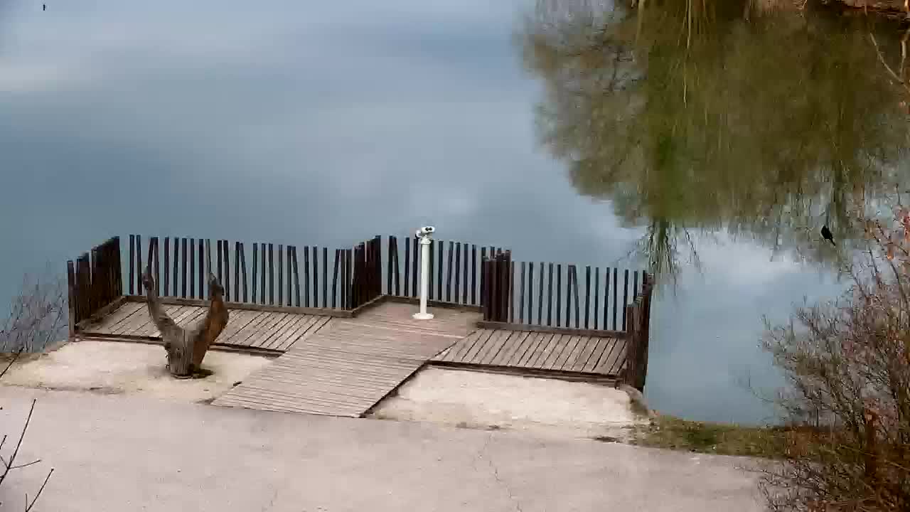 Webcam Ribnik Vrbje – Žalec