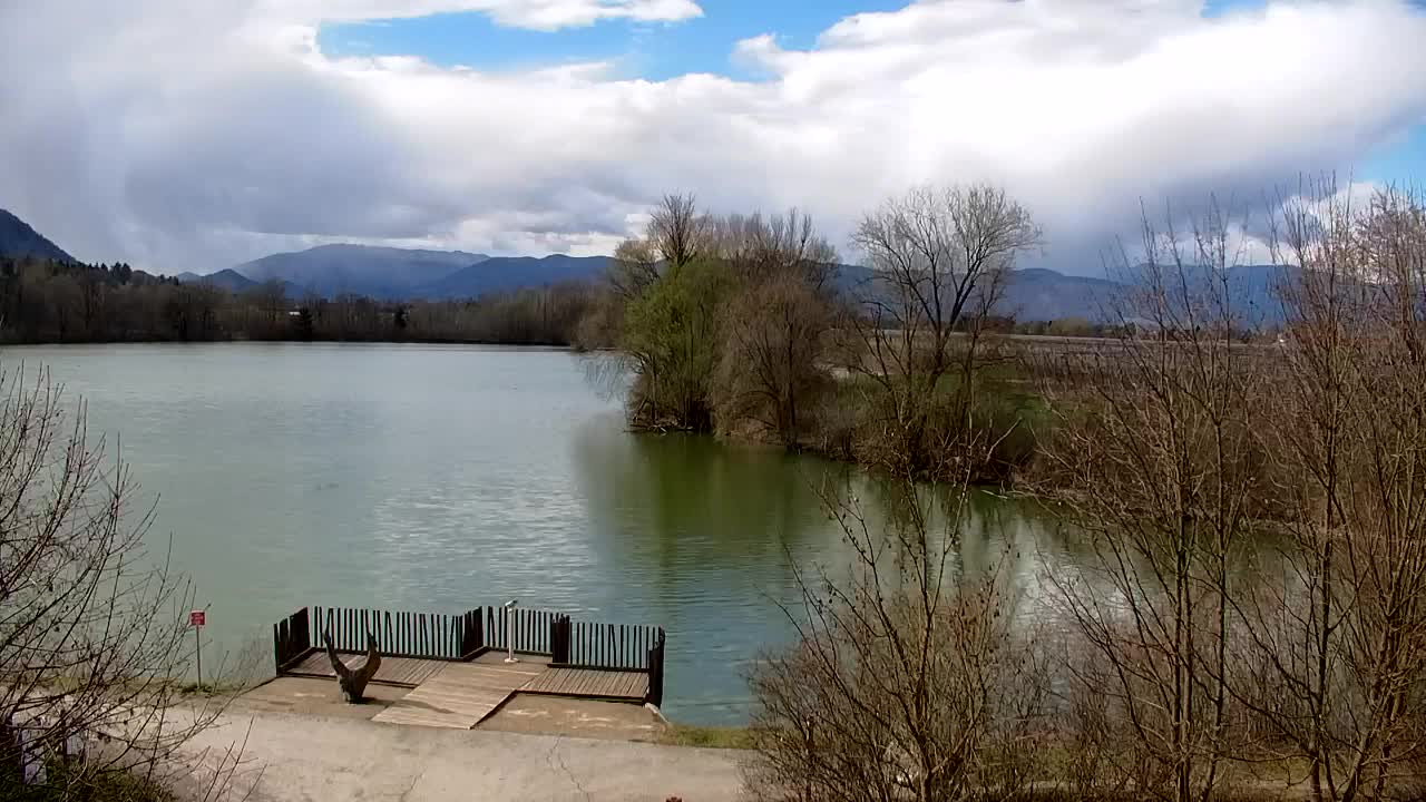 Webcam Ribnik Vrbje – Žalec