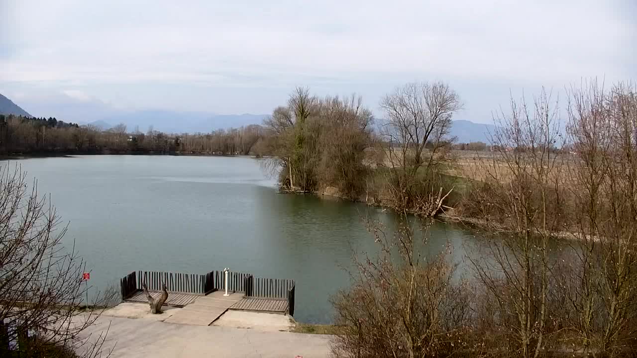 Webcam Ribnik Vrbje – Žalec