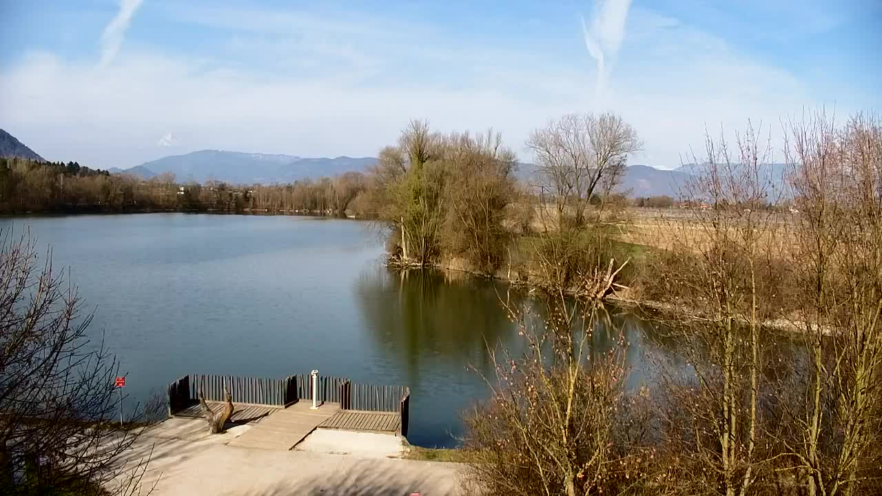 Spletna kamera Ribnik Vrbje – Žalec