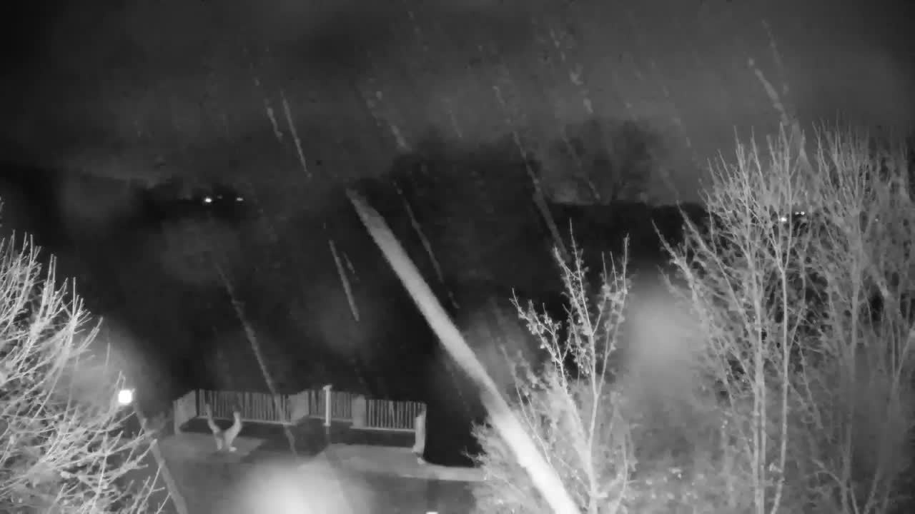 Web kamera Ribnik Vrbje – Žalec