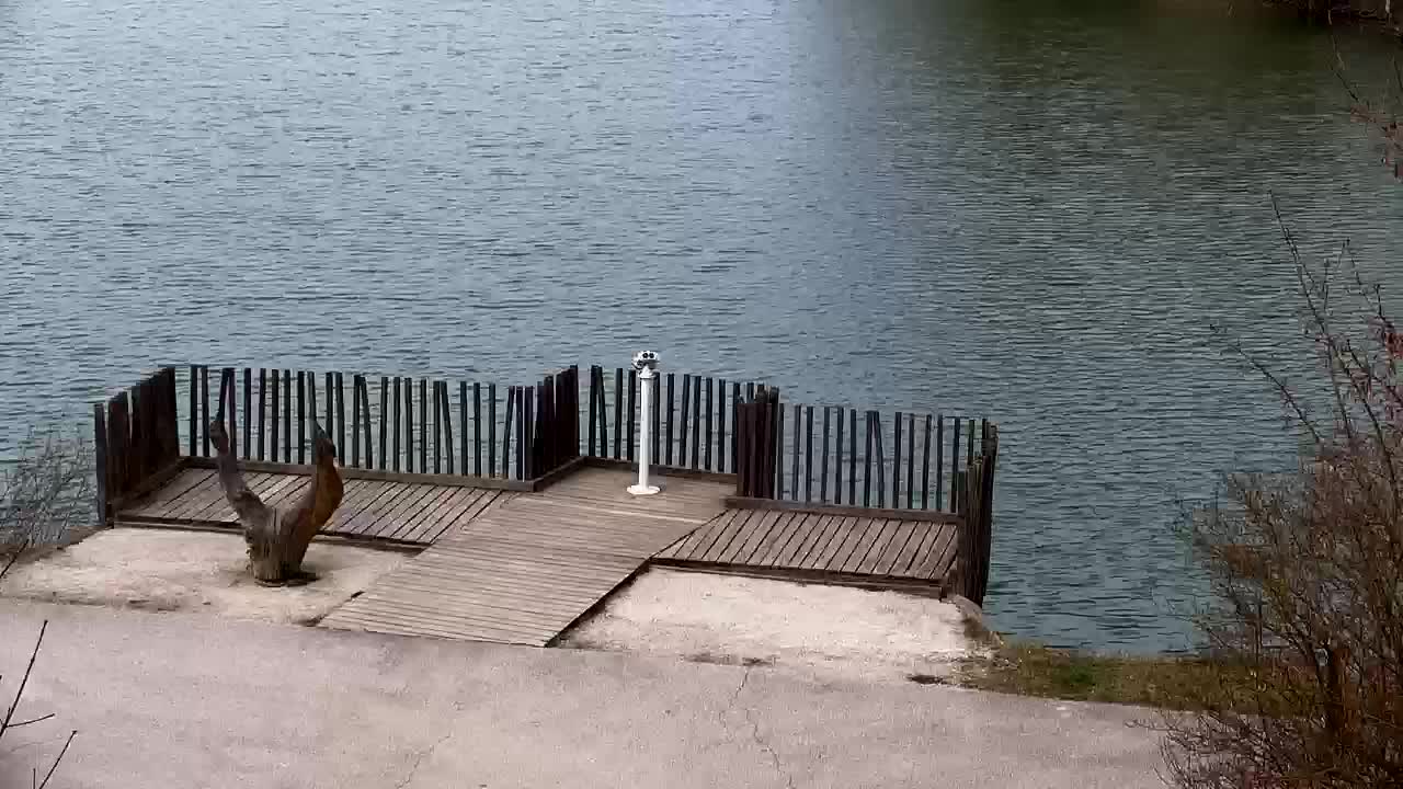 Spletna kamera Ribnik Vrbje – Žalec