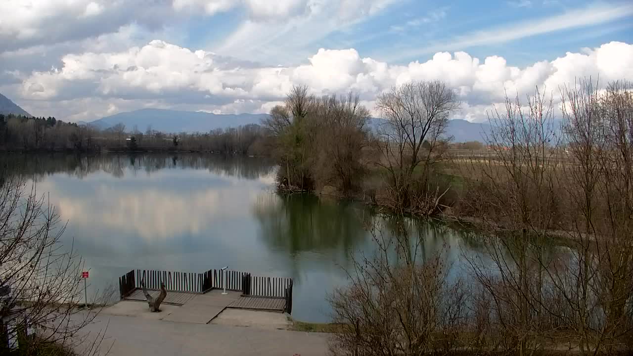 Webcam Ribnik Vrbje – Žalec