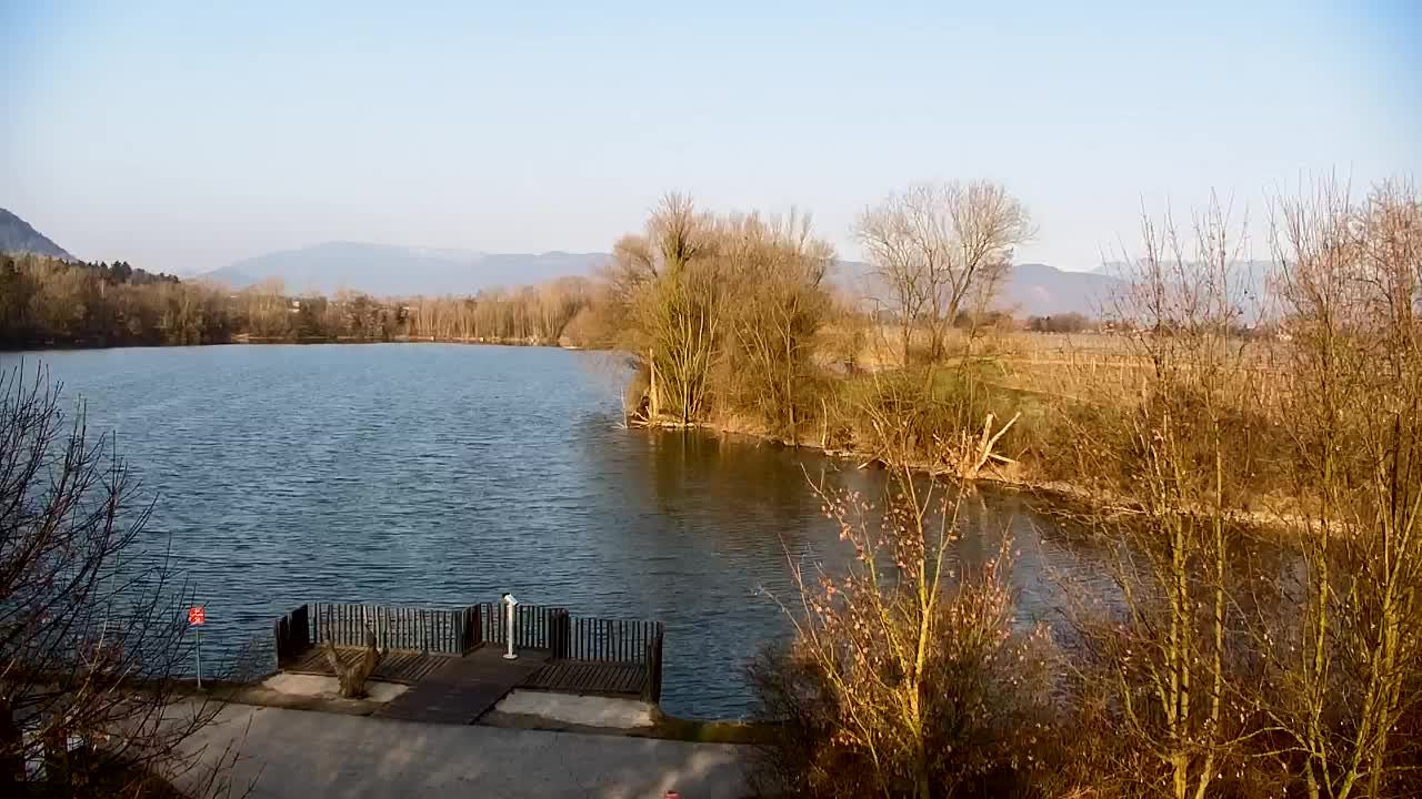 Spletna kamera Ribnik Vrbje – Žalec