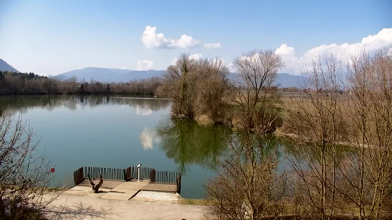 Webcam Ribnik Vrbje – Žalec