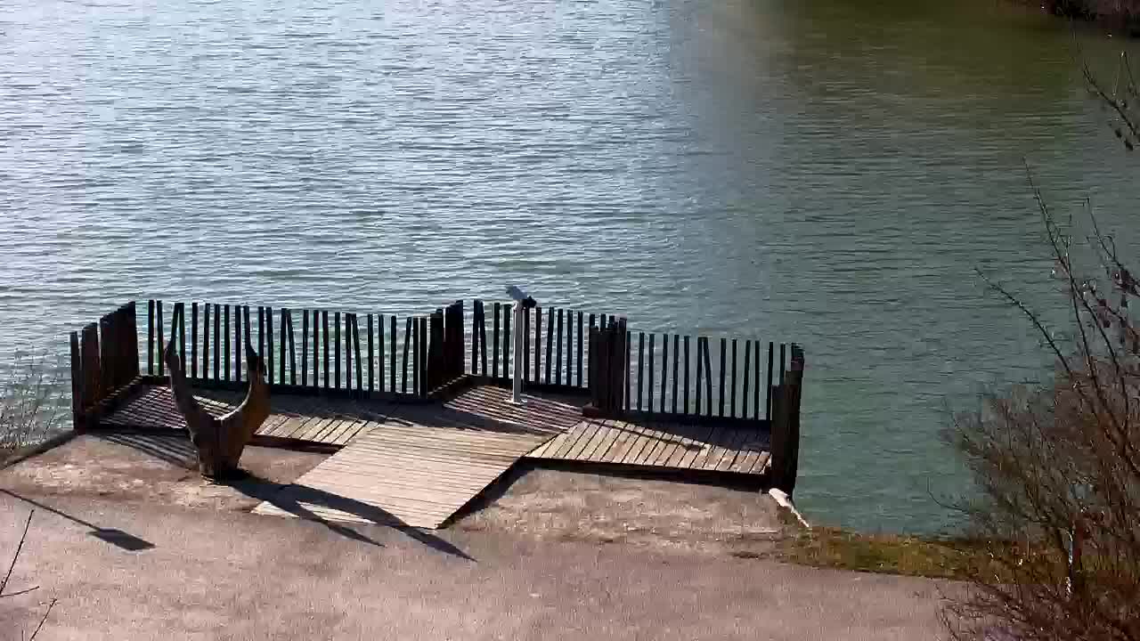 Spletna kamera Ribnik Vrbje – Žalec