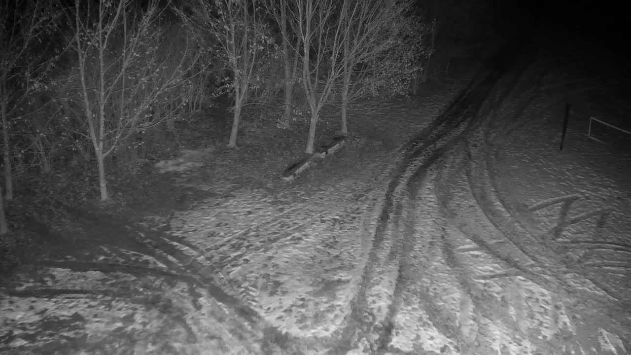 Webcam Ribnik Vrbje – Žalec