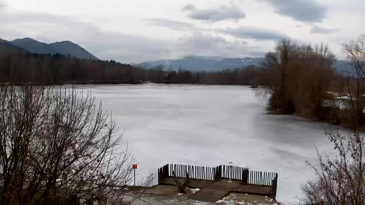 Web kamera Ribnik Vrbje – Žalec