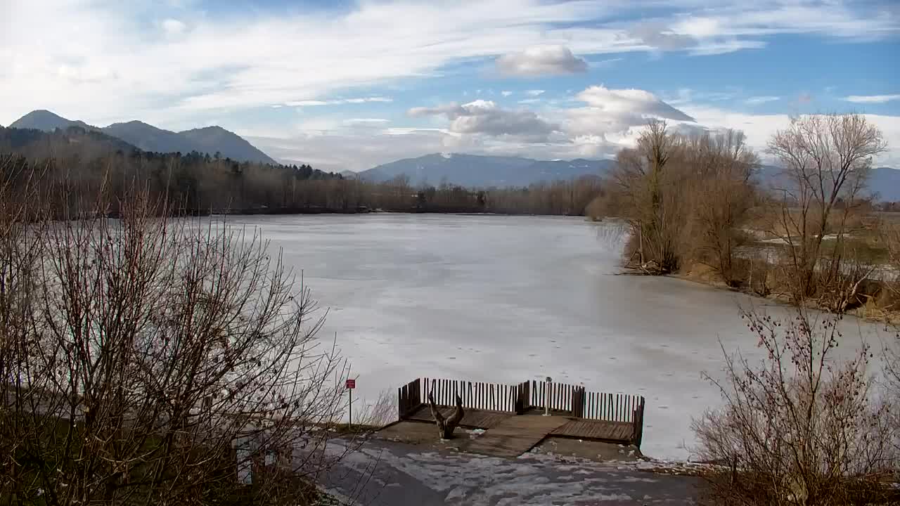 Webcam Ribnik Vrbje – Žalec