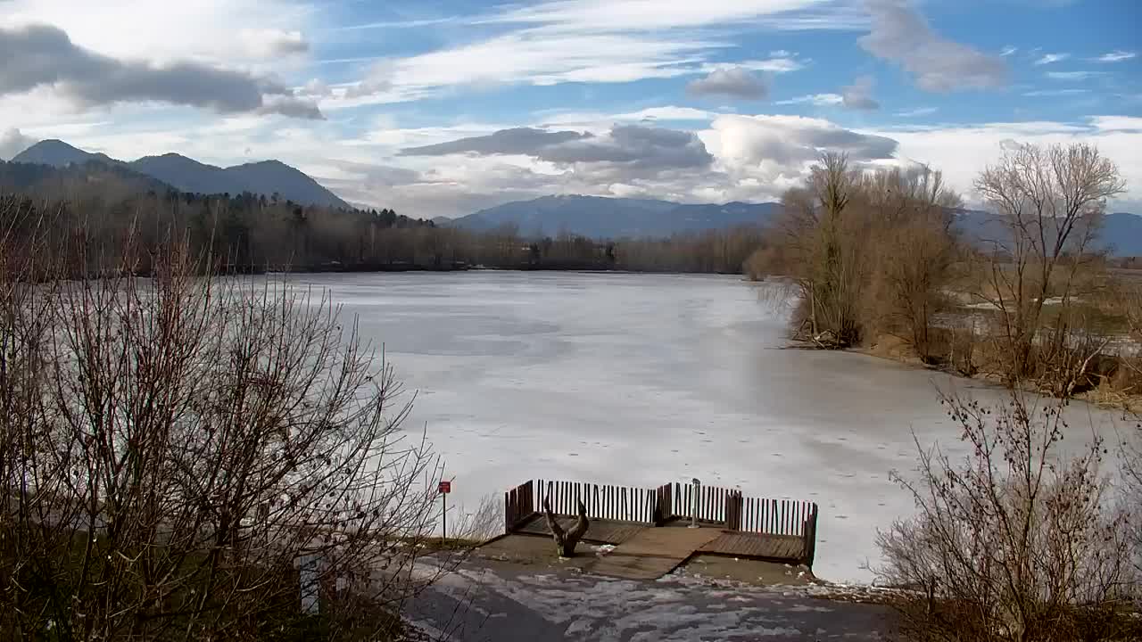 Webcam Ribnik Vrbje – Žalec