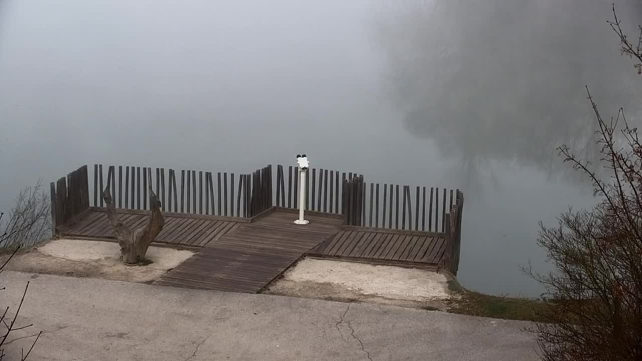 Webcam Ribnik Vrbje – Žalec