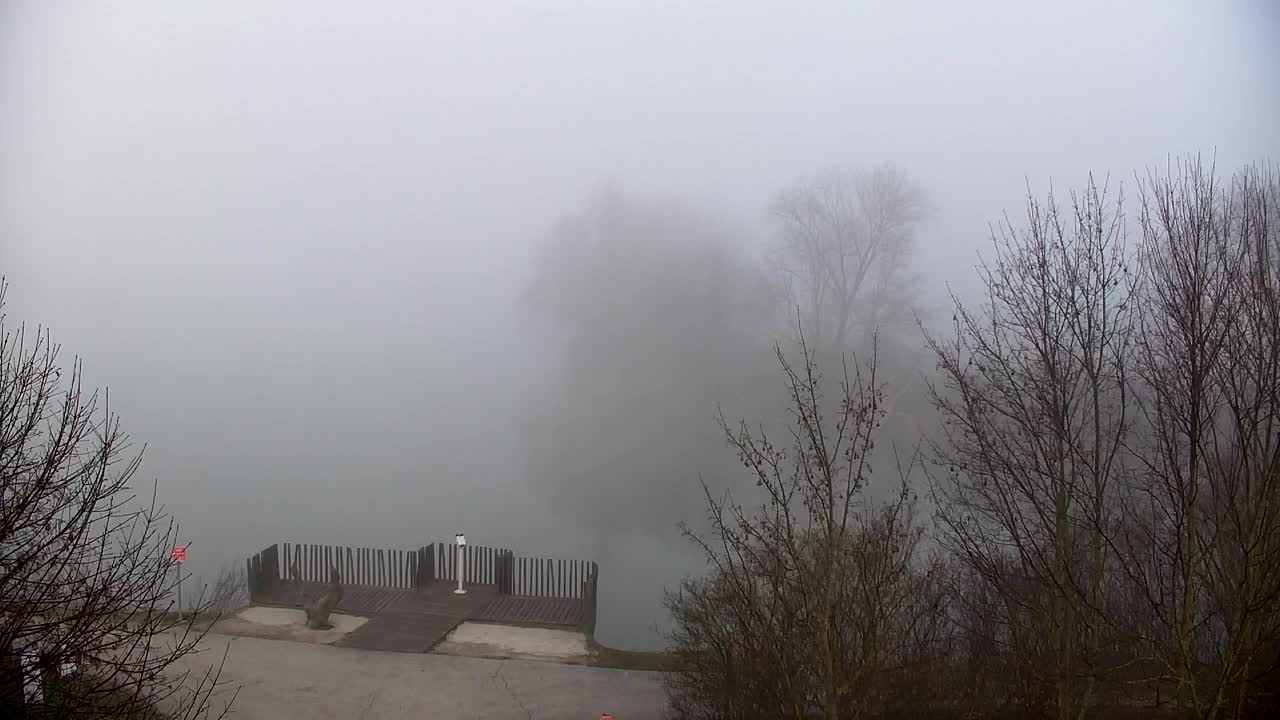 Webcam Ribnik Vrbje – Žalec