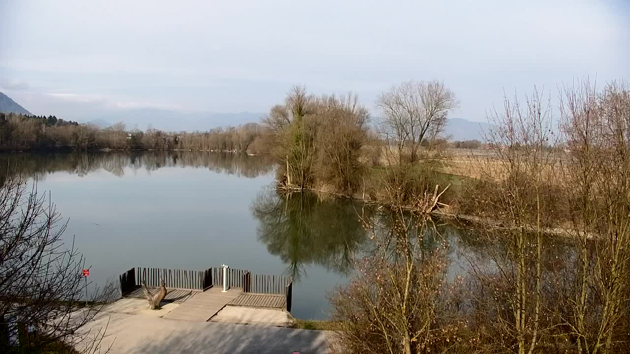 Webcam Ribnik Vrbje – Žalec