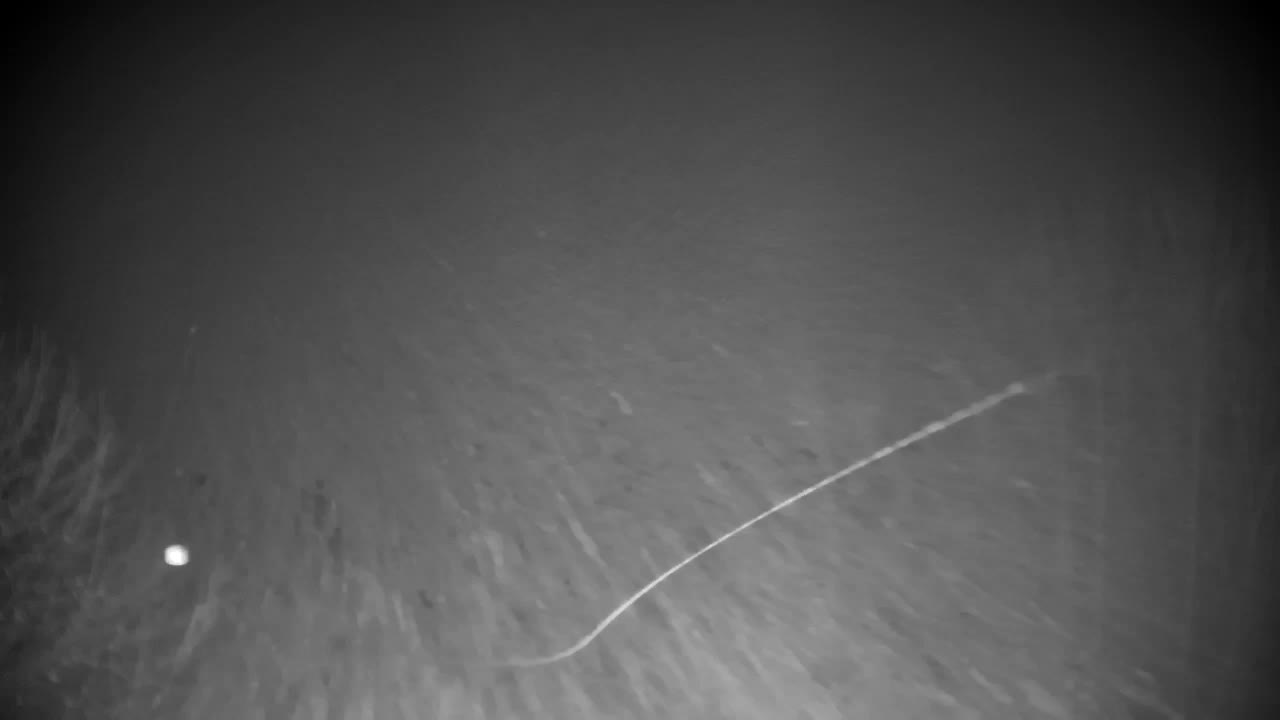 Webcam Ribnik Vrbje – Žalec