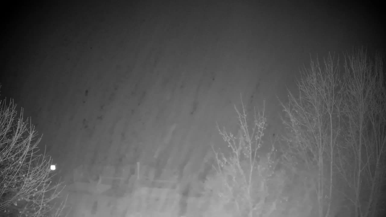 Webcam Ribnik Vrbje – Žalec