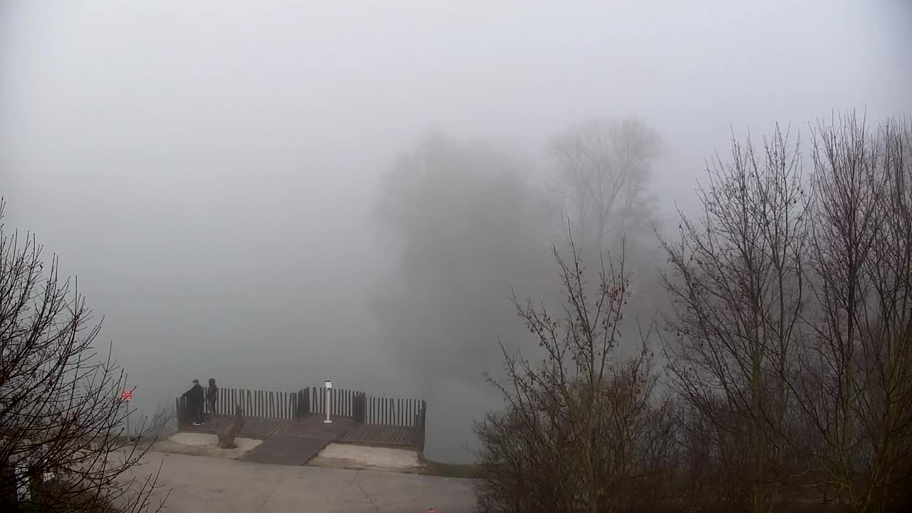 Webcam Ribnik Vrbje – Žalec