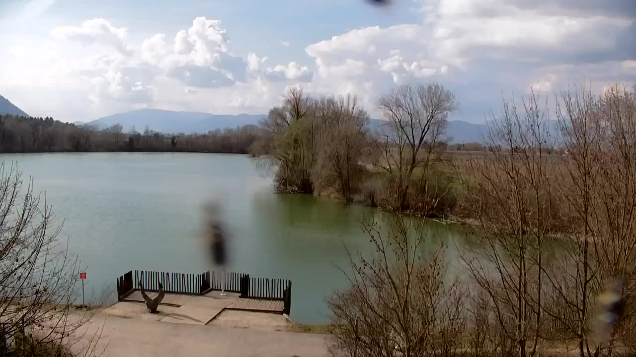 Webcam Ribnik Vrbje – Žalec