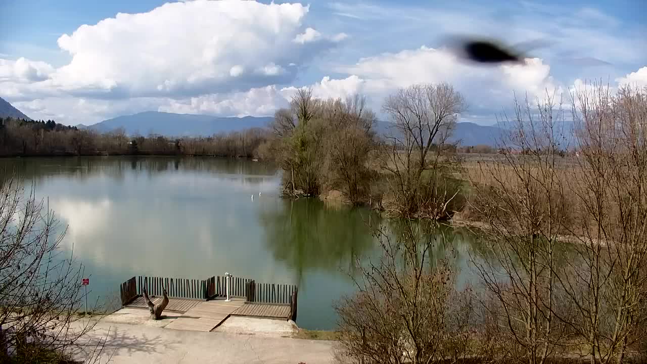 Web kamera Ribnik Vrbje – Žalec