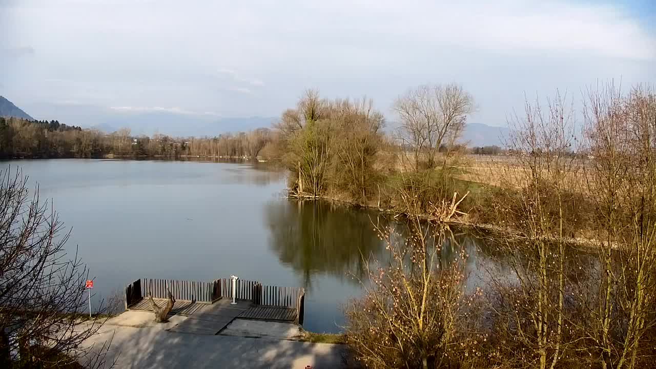 Webcam Ribnik Vrbje – Žalec