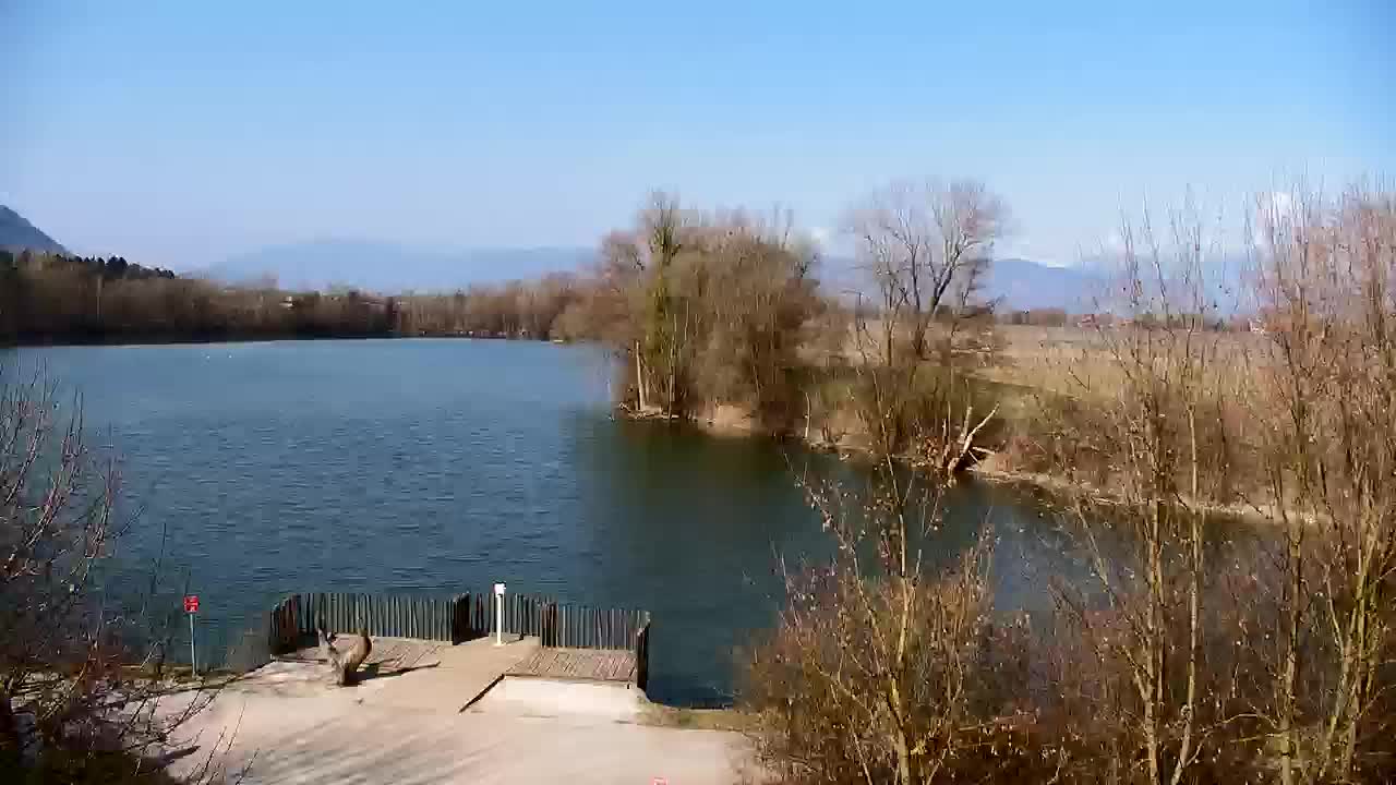 Spletna kamera Ribnik Vrbje – Žalec