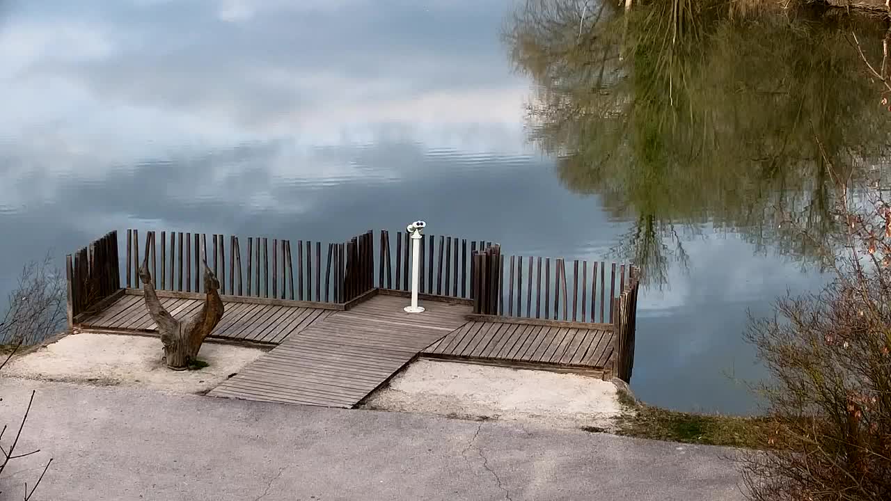 Webcam Ribnik Vrbje – Žalec