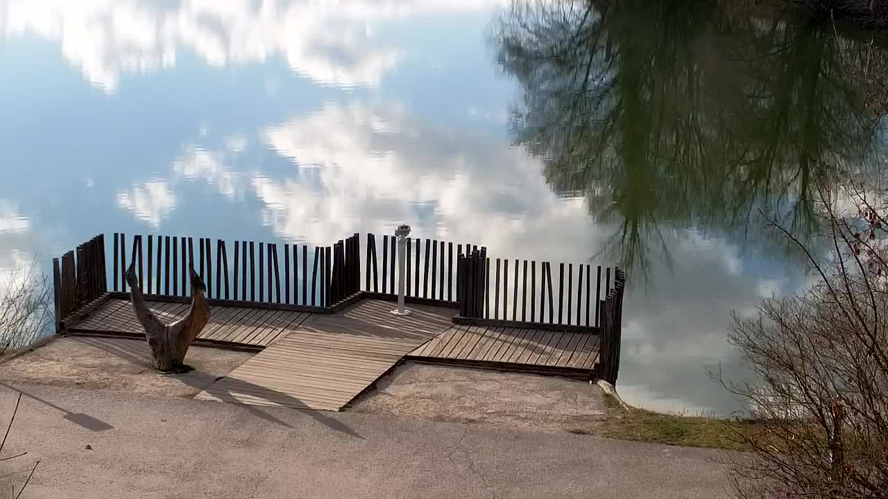 Webcam Ribnik Vrbje – Žalec