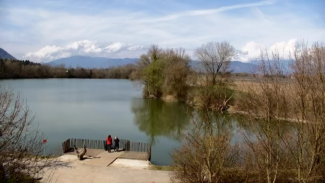 Web kamera Ribnik Vrbje – Žalec