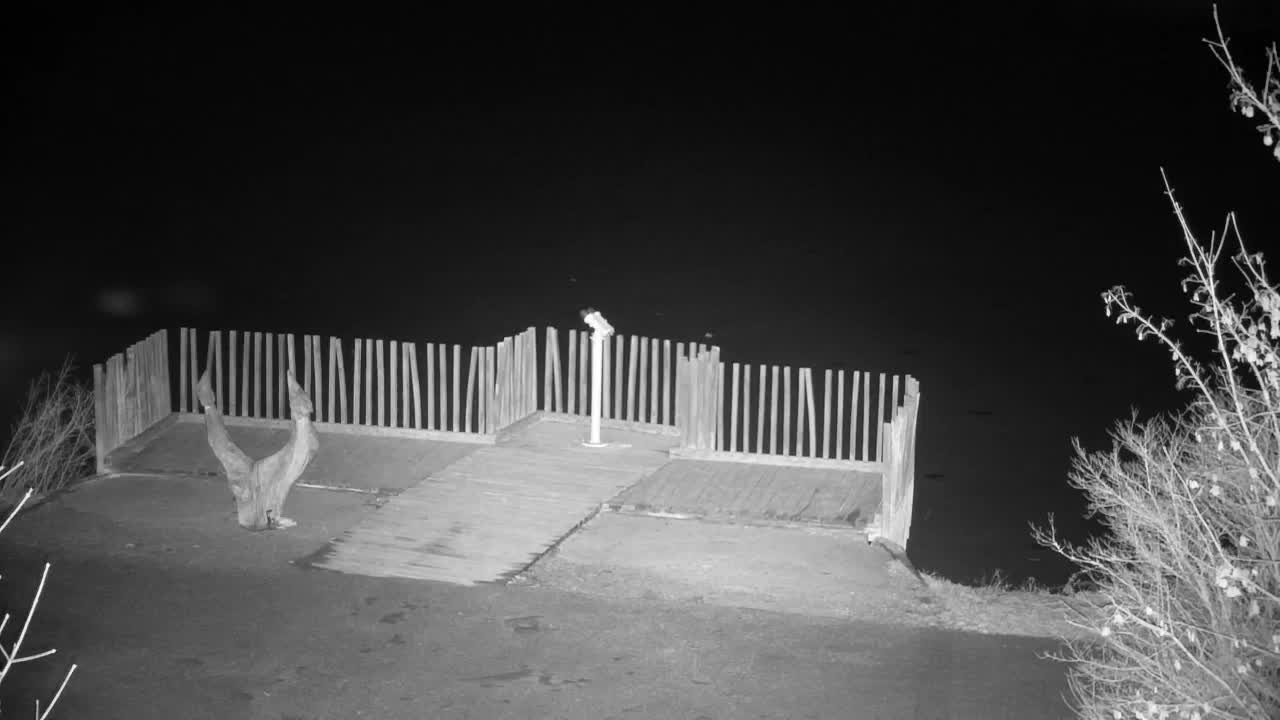 Webcam Ribnik Vrbje – Žalec