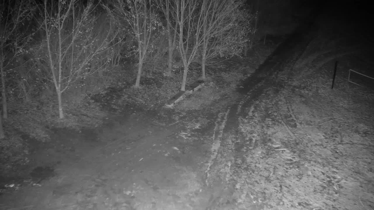 Webcam Ribnik Vrbje – Žalec