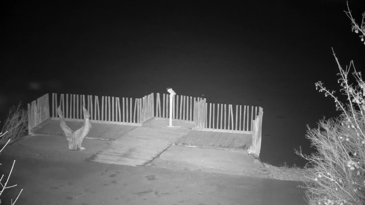 Webcam Ribnik Vrbje – Žalec