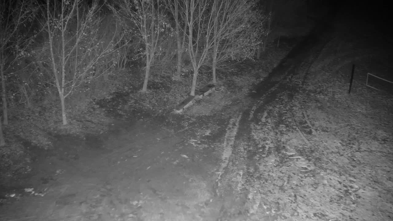 Webcam Ribnik Vrbje – Žalec