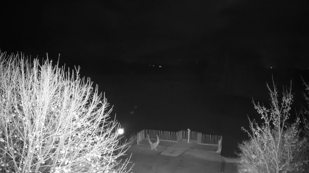 Webcam Ribnik Vrbje – Žalec