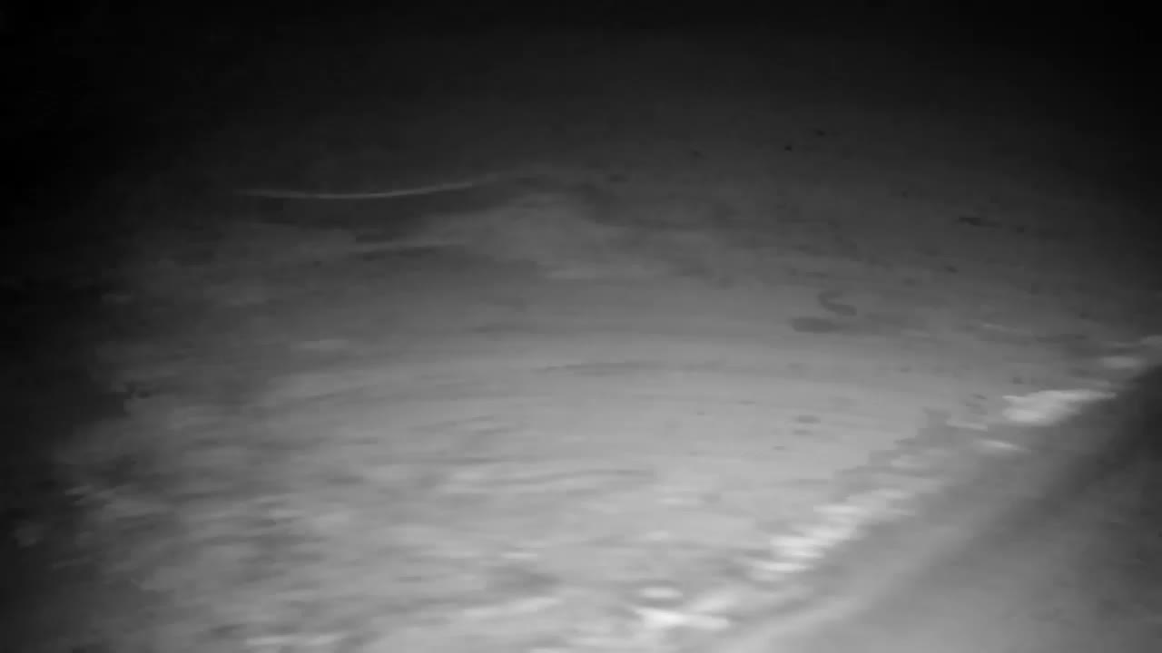 Webcam Ribnik Vrbje – Žalec