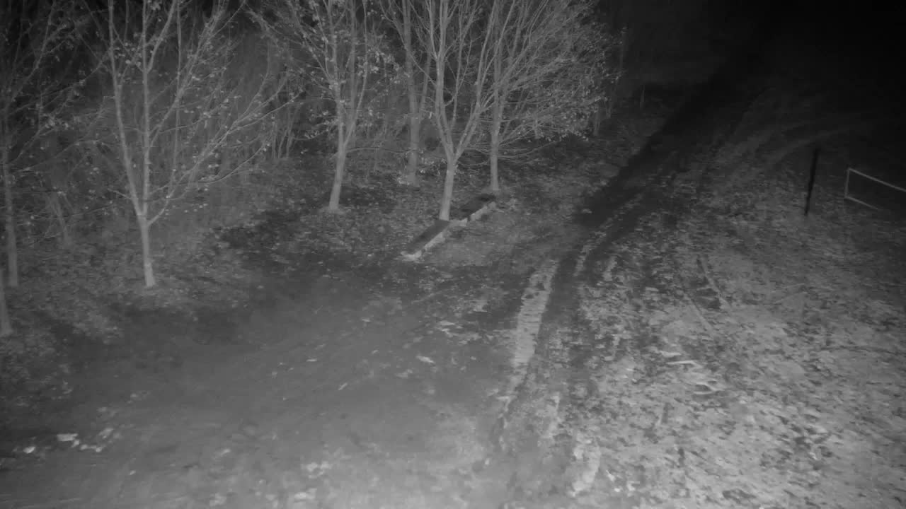 Webcam Ribnik Vrbje – Žalec