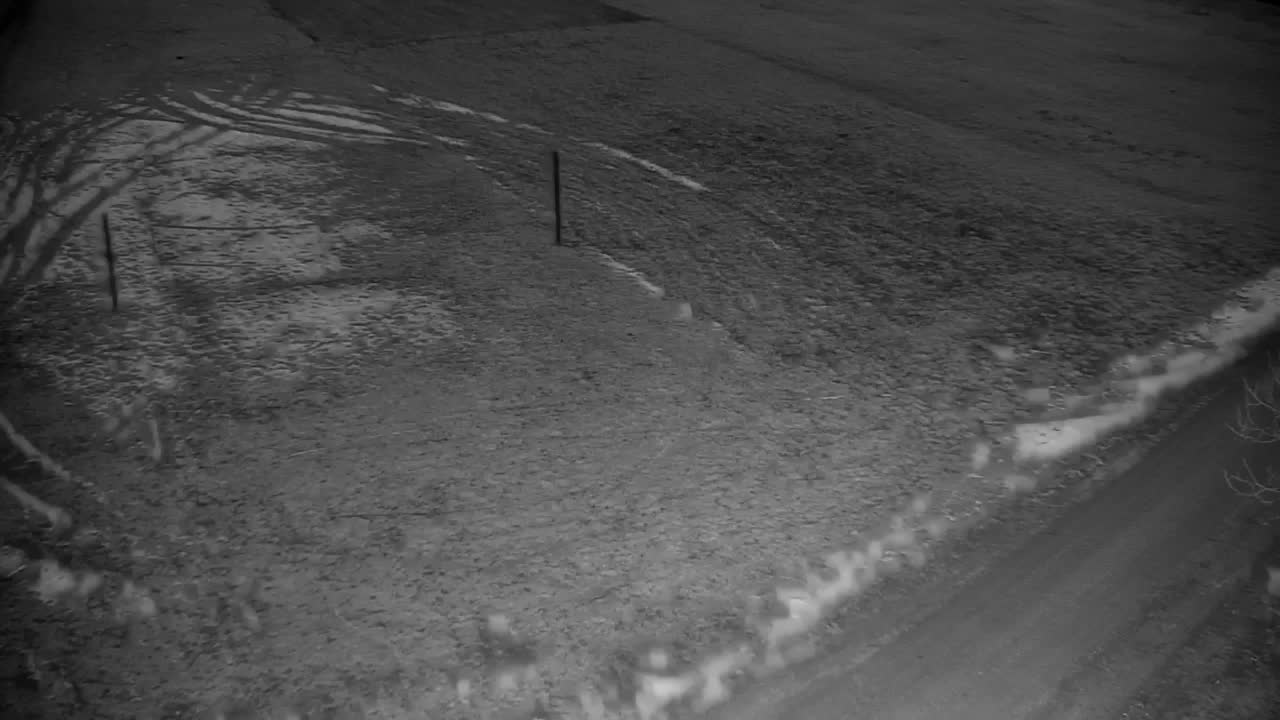 Webcam Ribnik Vrbje – Žalec